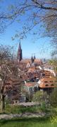 Fribourg1
