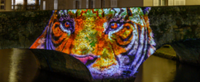 Chartres en lumière
